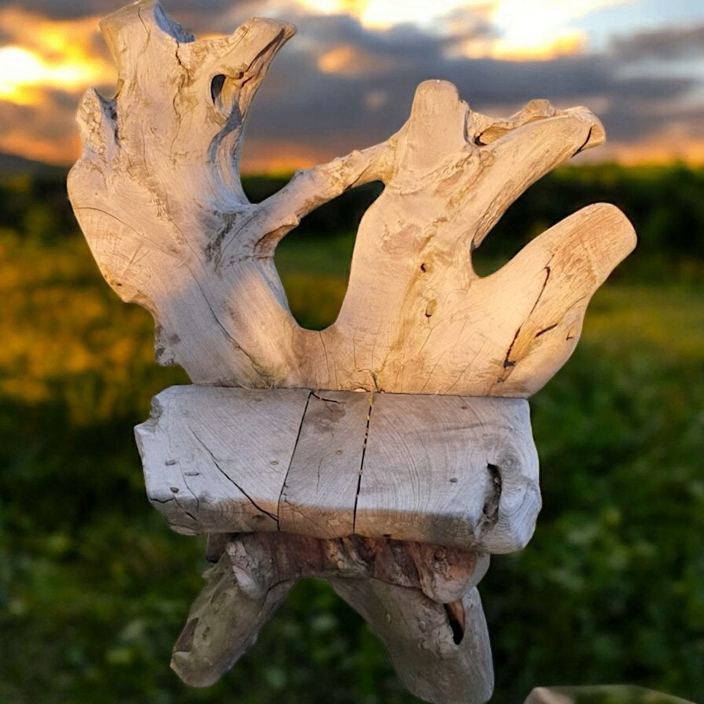 Organische tuinset van teak wortelhout uit Indonesie, Ophalen, 4 zitplaatsen, Gebruikt, -