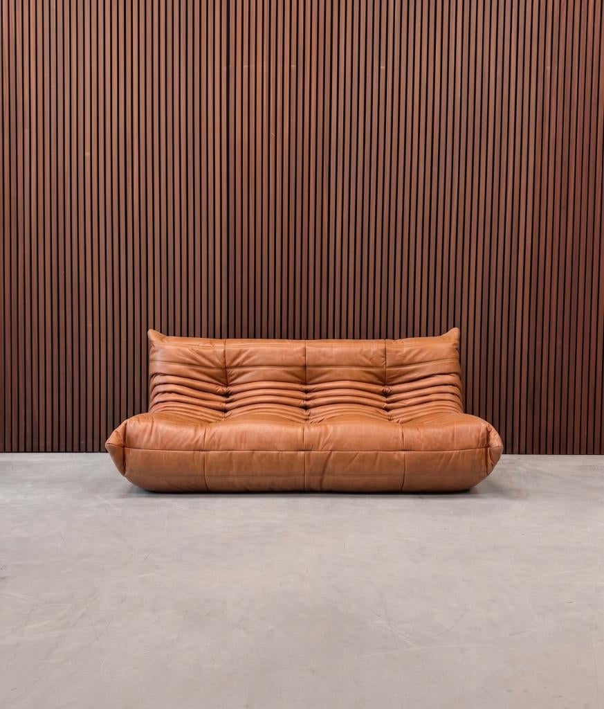 Ligne Roset Togo Large Settee 3-zits | Cognac Leder, Ophalen of Verzenden