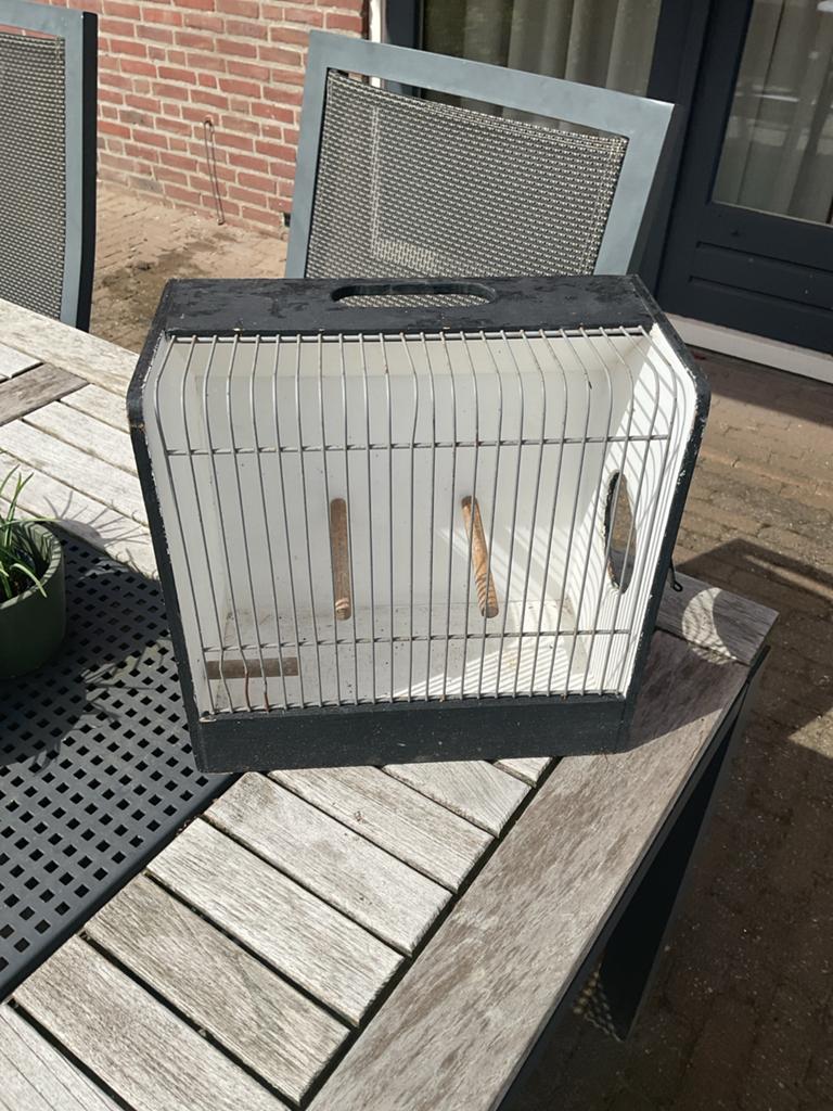 Vogelvervoer kooi of TT-kooi, Ophalen, Gebruikt, Hout, Vogelkooi