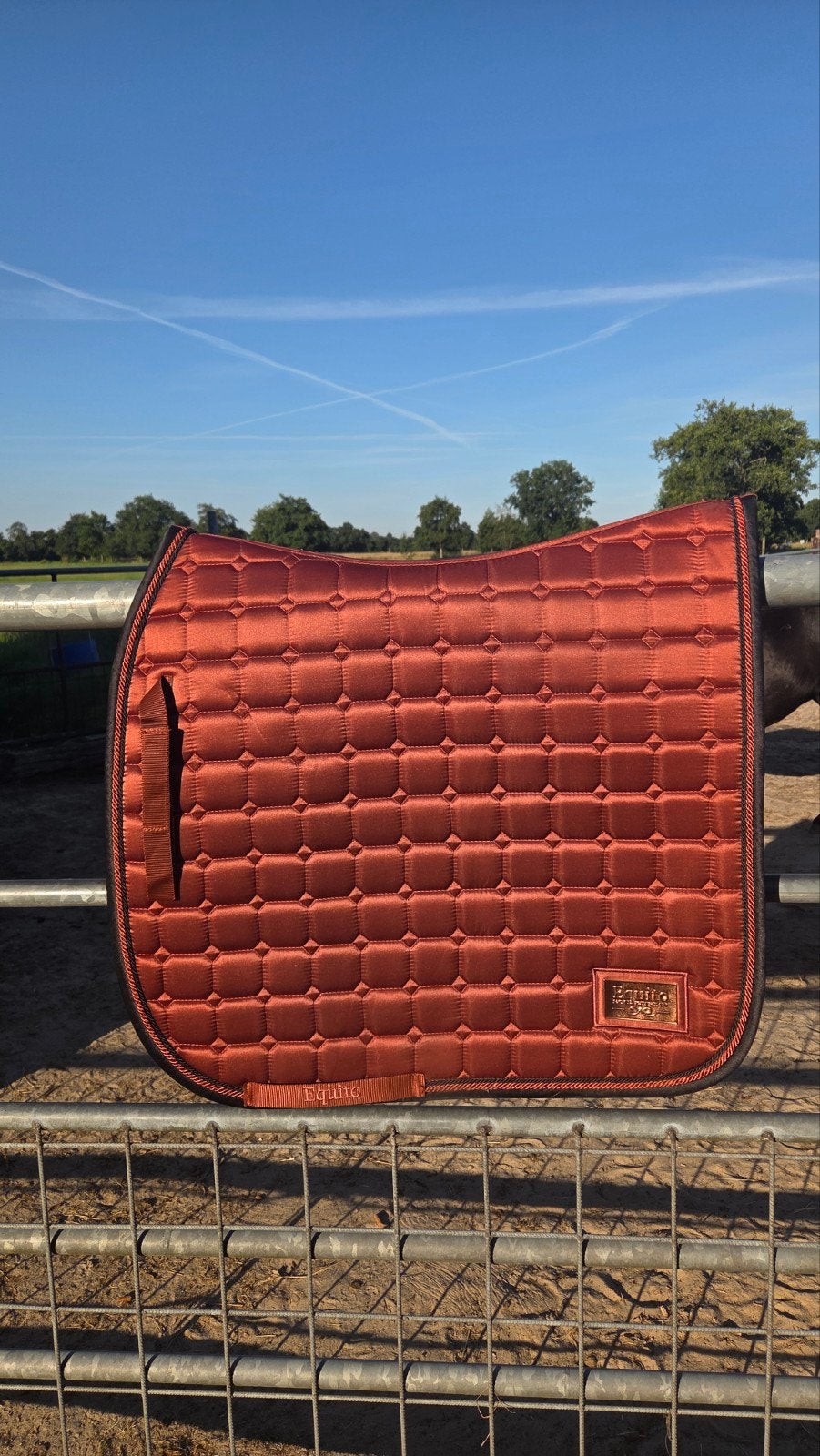 Equito Dekje Full dressuur, Full (L), Ophalen of Verzenden, Zo goed als nieuw, Dressuurdekje