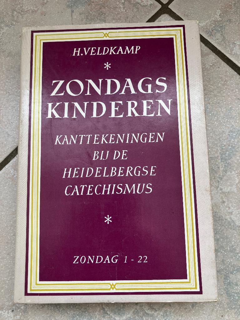 Zondagskinderen Kanttekeningen bij Heidelbergse Cat deel 1, Boeken, Gelezen, Ophalen of Verzenden, Overige religies, Ds. H. Veldkamp