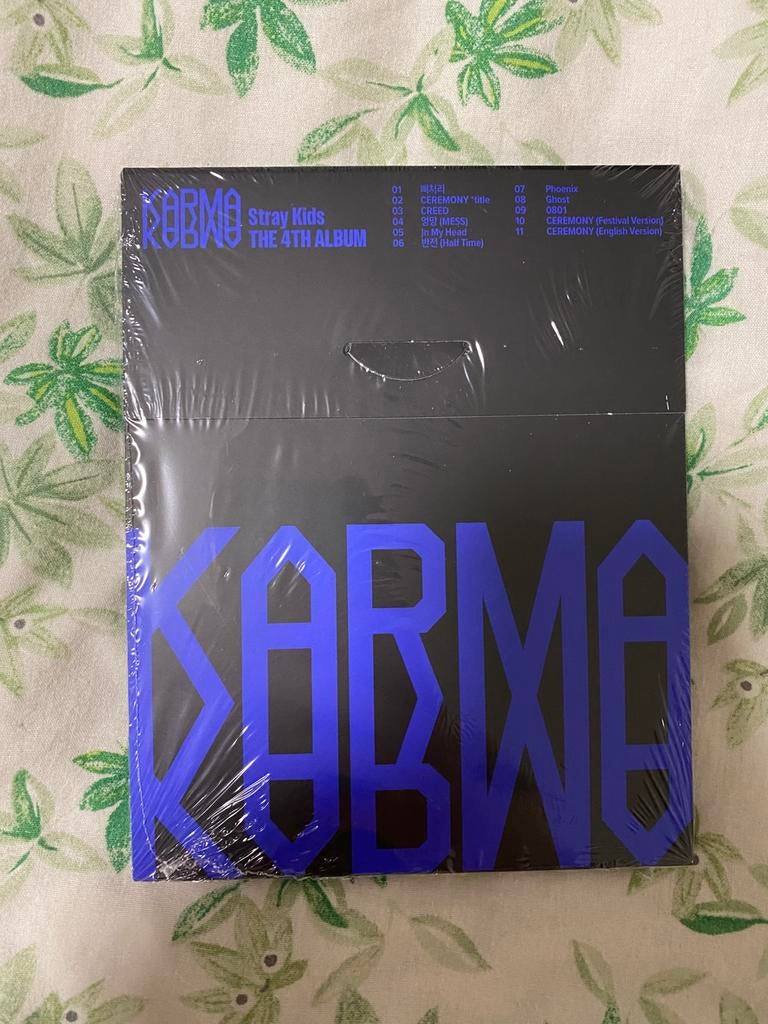 SEALED stray kids skz karma compact version, Ophalen of Verzenden, Zo goed als nieuw, Cd of Plaat