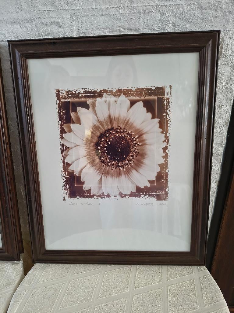 Schilderij wanddecoratie Zonnebloem B.48xH.58 cm, Ophalen, 58 cm, Schilderij, 48 cm