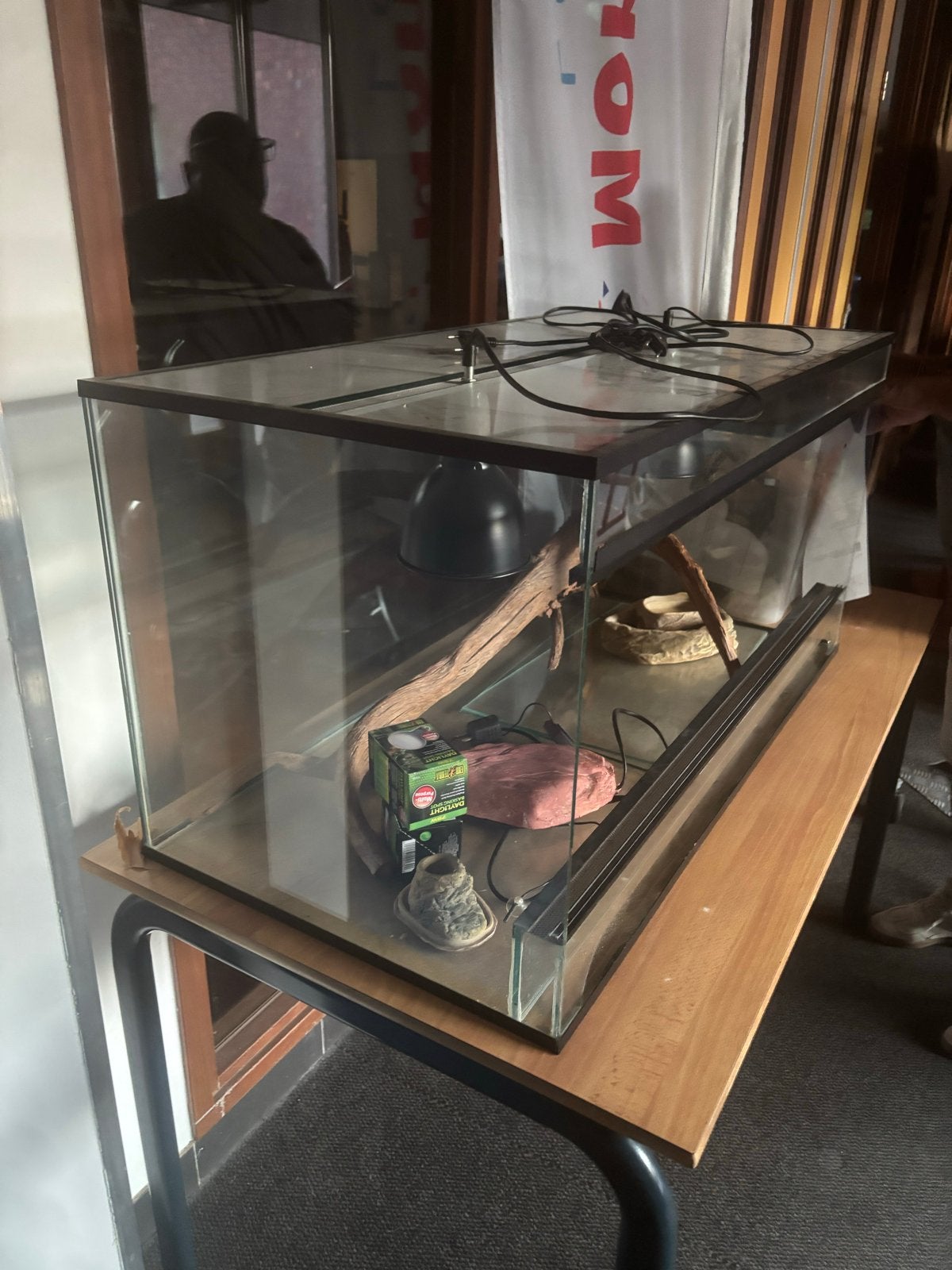 Aquarium voor amfibieën, Ophalen