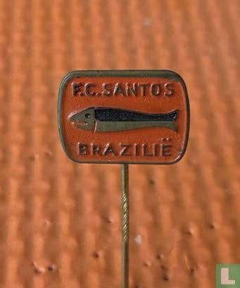 Speldje - F.C. Santos Brazilië, Verzamelen, Speldjes, Pins en Buttons, Ophalen of Verzenden, Zo goed als nieuw, Sport, Speldje of Pin