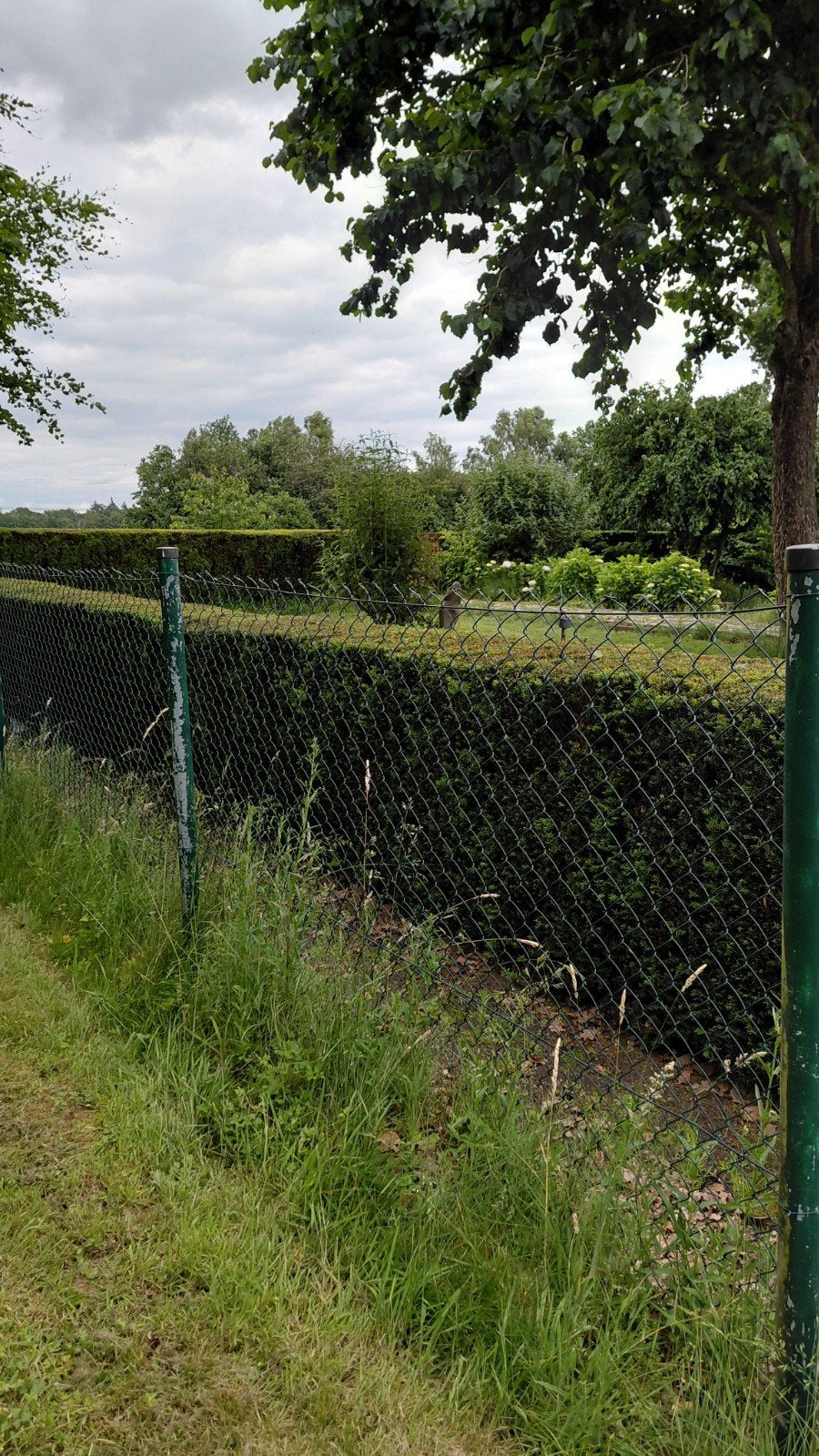 Groene Heras Hekwerk, Ophalen of Verzenden, Overige typen