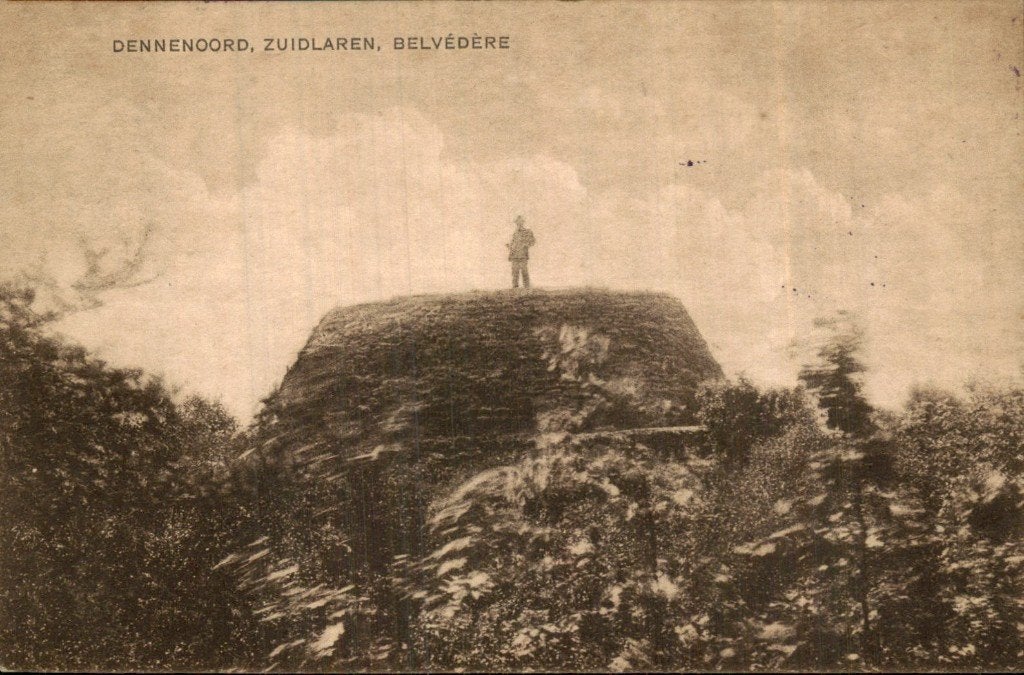 Zuidlaren - Belvédère - Dennenoord, Ophalen of Verzenden, 1920 tot 1940, Gelopen, Drenthe