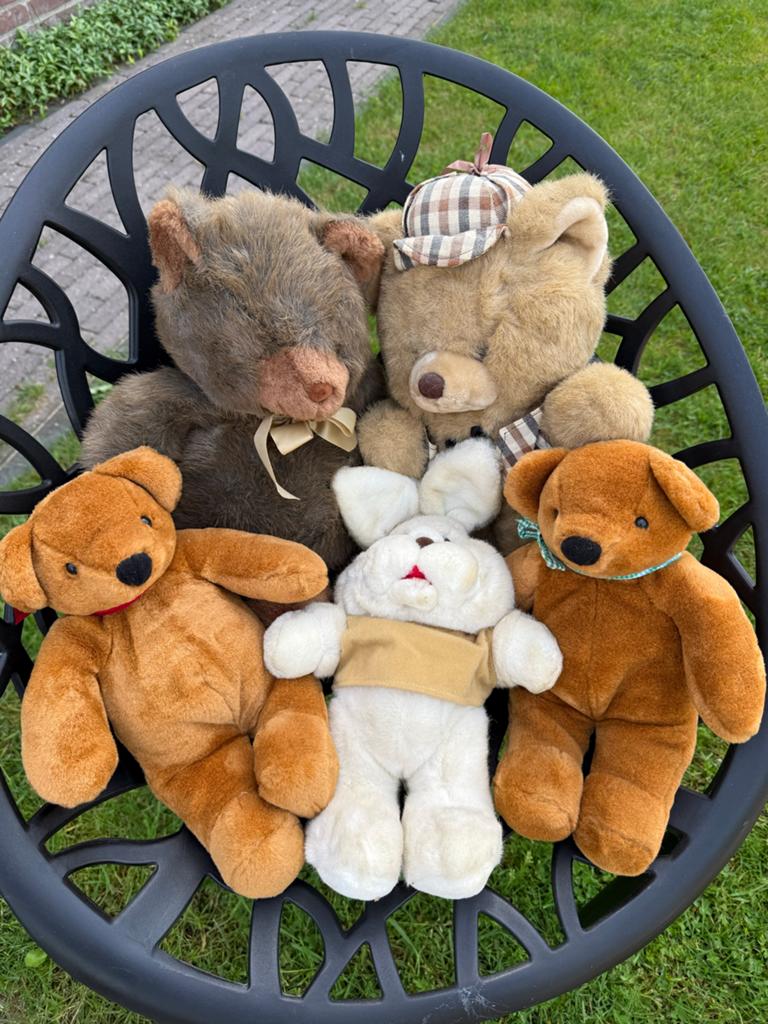 Leuke knuffelberen en konijn - set van 5, Gebruikt, Beer, Ophalen of Verzenden, Middelgroot (20 tot 80 cm)