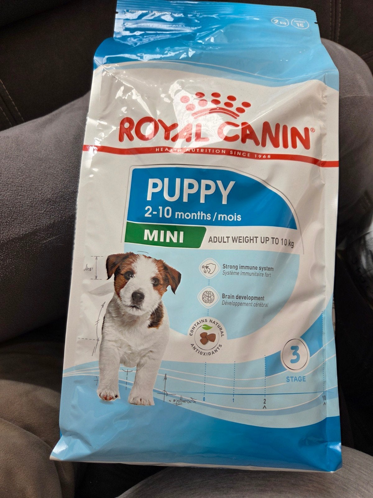 puppy brokken, Ophalen of Verzenden, Hond