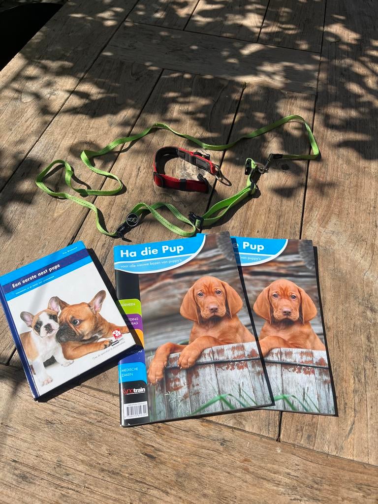 Puppy set, Dieren en Toebehoren, Ophalen of Verzenden
