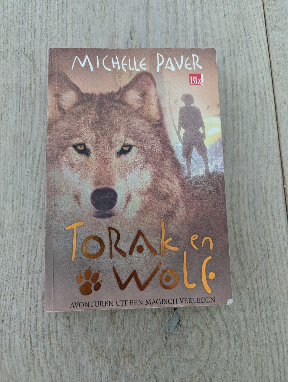 Torak en Wolf - Michelle Paver (Avonturenboek), Boeken, Ophalen of Verzenden