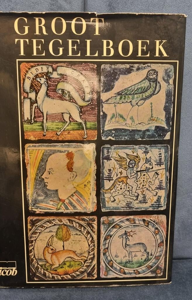 Groot tegelboek. Anne berendsen, Boeken, Verzenden, Gelezen