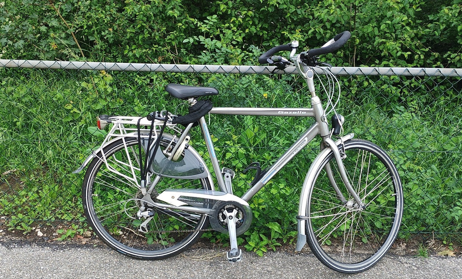 Gazelle Fuente, Ophalen, Gebruikt, Velgrem, Versnellingen