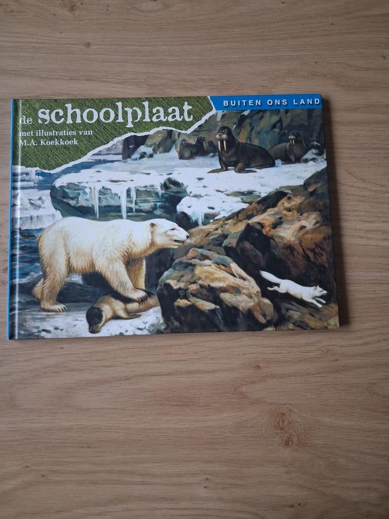 De Schoolplaat - Buiten Ons Land - M.A. Koekkoek, Ophalen of Verzenden, Zo goed als nieuw, M.A. Koekkoek, Non-fictie