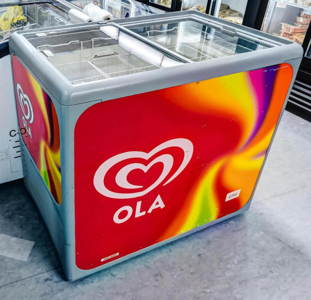 3x Horeca Vriezers goed werkend, Ophalen, Gebruikt, Koelen en Vriezen