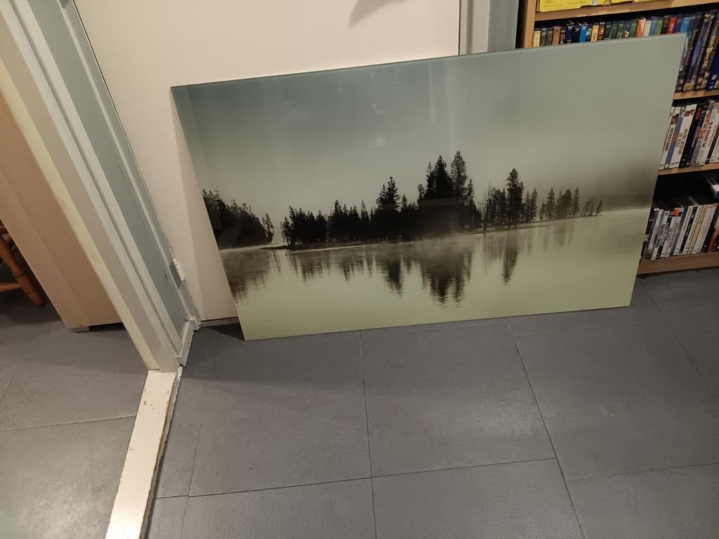 GlasSchilderij met boslandschap, Ophalen of Verzenden, Zo goed als nieuw, Schilderij, 75 tot 100 cm
