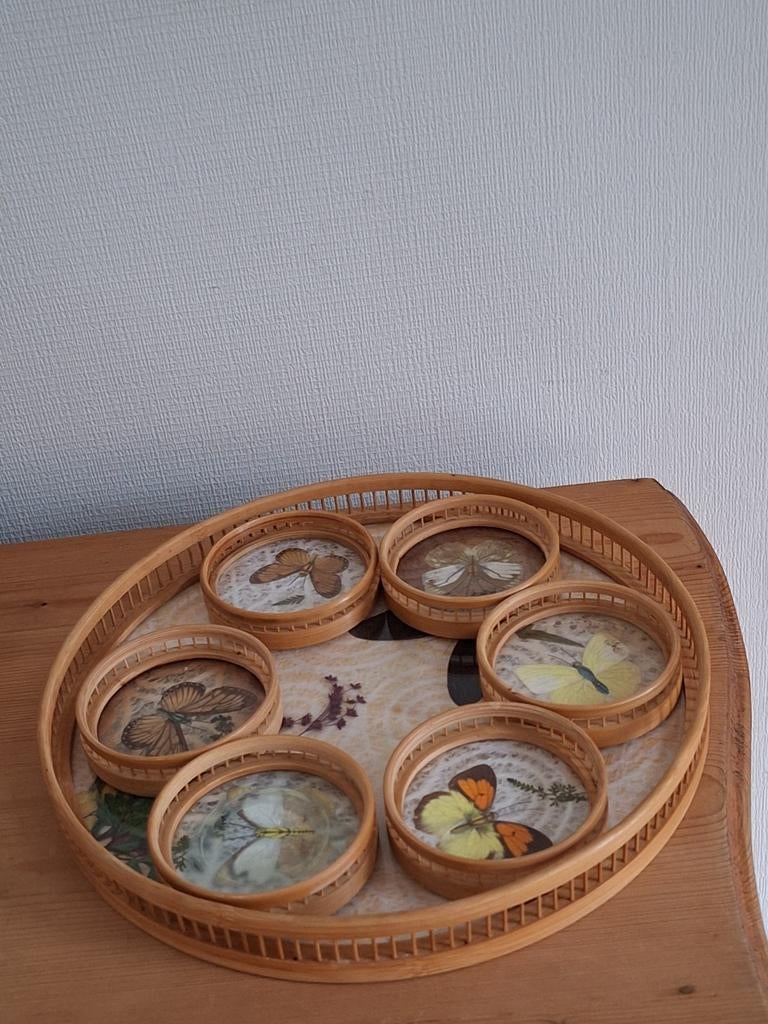 Vintage dienblad met echte vlinders, Ophalen of Verzenden, Glas of Kopje