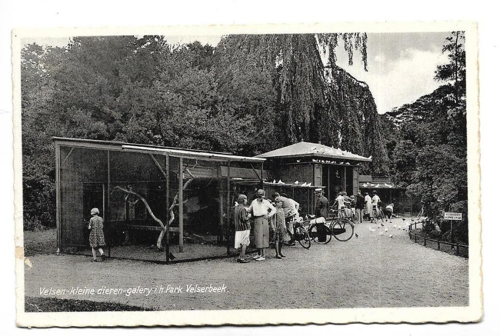 V75 Velsen kleine dieren galleriy Park Velsereek, Ophalen of Verzenden, 1960 tot 1980, Gelopen, Noord-Holland
