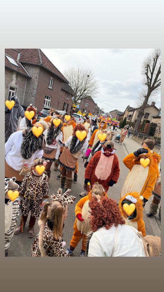 Loopgroep carnavalspakjes ‘Lion King’, Ophalen, Carnaval, Maat 46/48 (XL) of groter, Onbekend