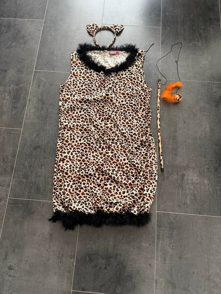 Leuk poezen jurkje met accessoires, Carnaval, Maat 42/44 (L), Ophalen of Verzenden, Zo goed als nieuw