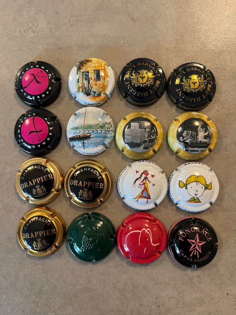 16 champagne capsules, Verzamelen, Ophalen of Verzenden, Zo goed als nieuw, Overige typen