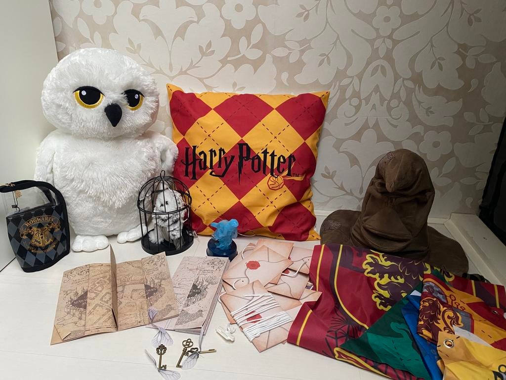 Harry Potter spullen, Verzamelen, Harry Potter, Ophalen of Verzenden, Zo goed als nieuw