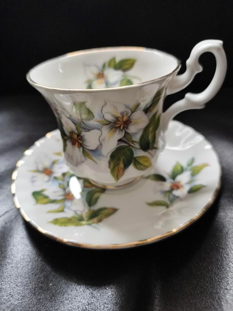 Engelse Royal Albert porselein koffie., Ophalen of Verzenden, Zo goed als nieuw, Porselein, Kop en/of schotel
