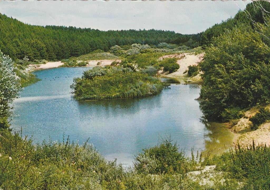 WESTERSCHOUWEN Meertje Dominiale Bossen, Verzenden, 1960 tot 1980, Gelopen, Zeeland