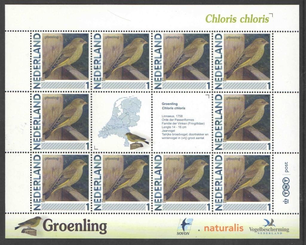 Postzegels Vogels in Nederland: Groenling, Ophalen of Verzenden, Na 1940, Postfris