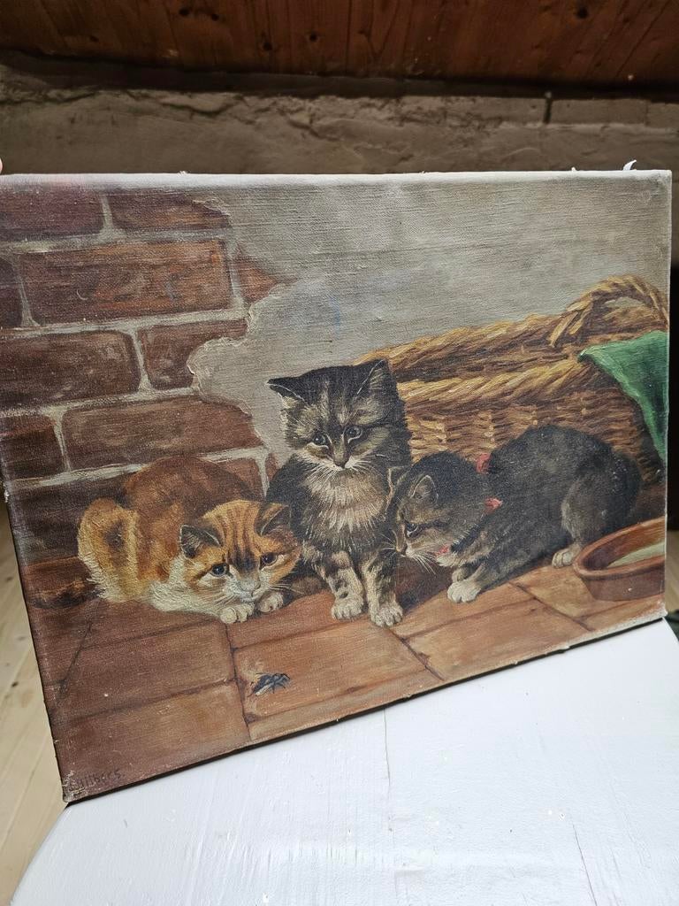 Katten schilderij, Ophalen of Verzenden