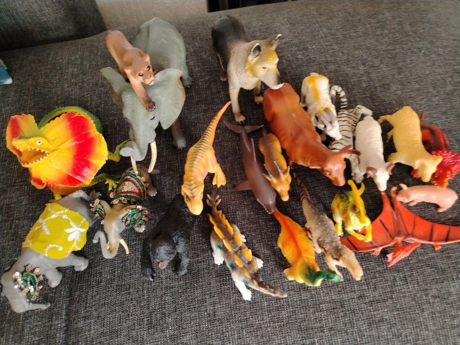 dieren speelgoed, Slang, 3 tot 6 jaar