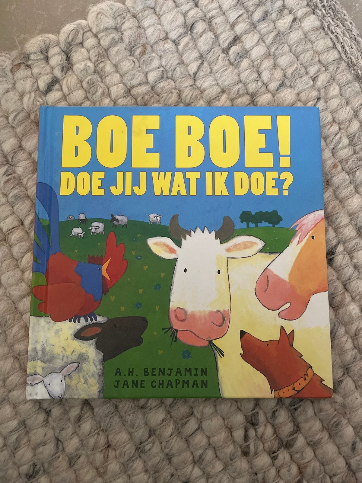 Boe Boe! Doe jij wat ik doe? - Prentenboek, Boeken, Gelezen, Fictie algemeen, Jongen of Meisje, Ophalen of Verzenden