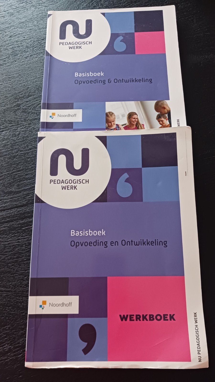 Basis- en werkboek Opvoeding &Ontwikkeling LB (ed. 3 - 2024), Boeken, Judy Tienhoven, Sociale wetenschap, Ophalen of Verzenden