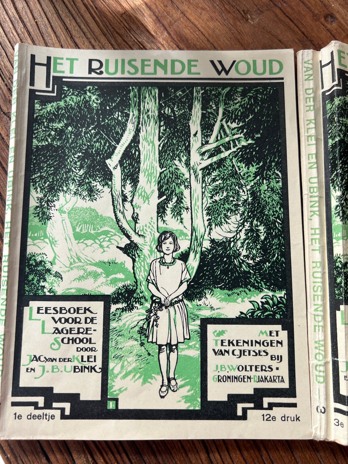 Het Ruisende Woud - Leesboek voor de Lagere School, Ophalen of Verzenden, Gelezen, Overige niveaus, Nederlands