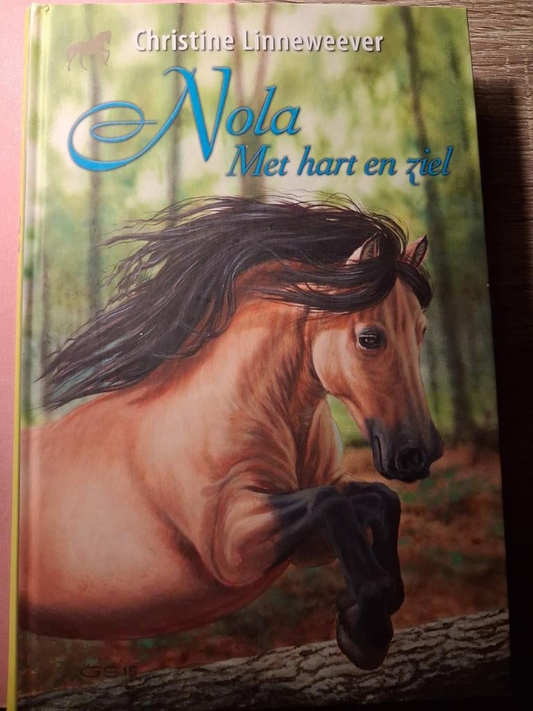 Boek Christine Linneweever, Boeken, Ophalen, Zo goed als nieuw, Christine Linneweever, Fictie