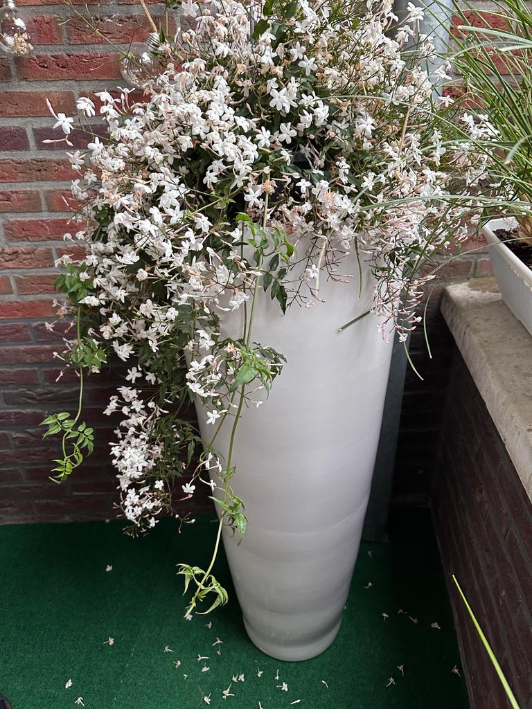 Prachtige Ecri Living Vaas - 100cm hoog - Wit Keramiek, Rond, Zo goed als nieuw, Balkon, Aardewerk