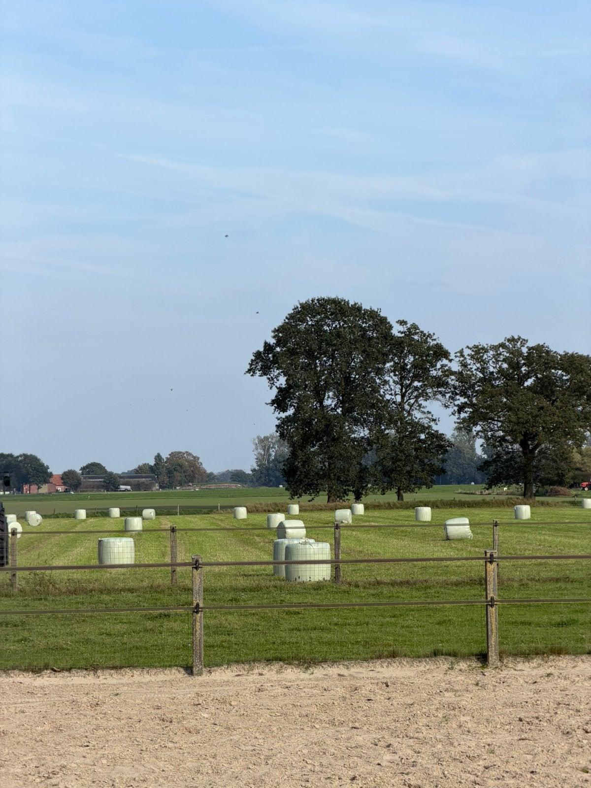 Midi balen voordroog