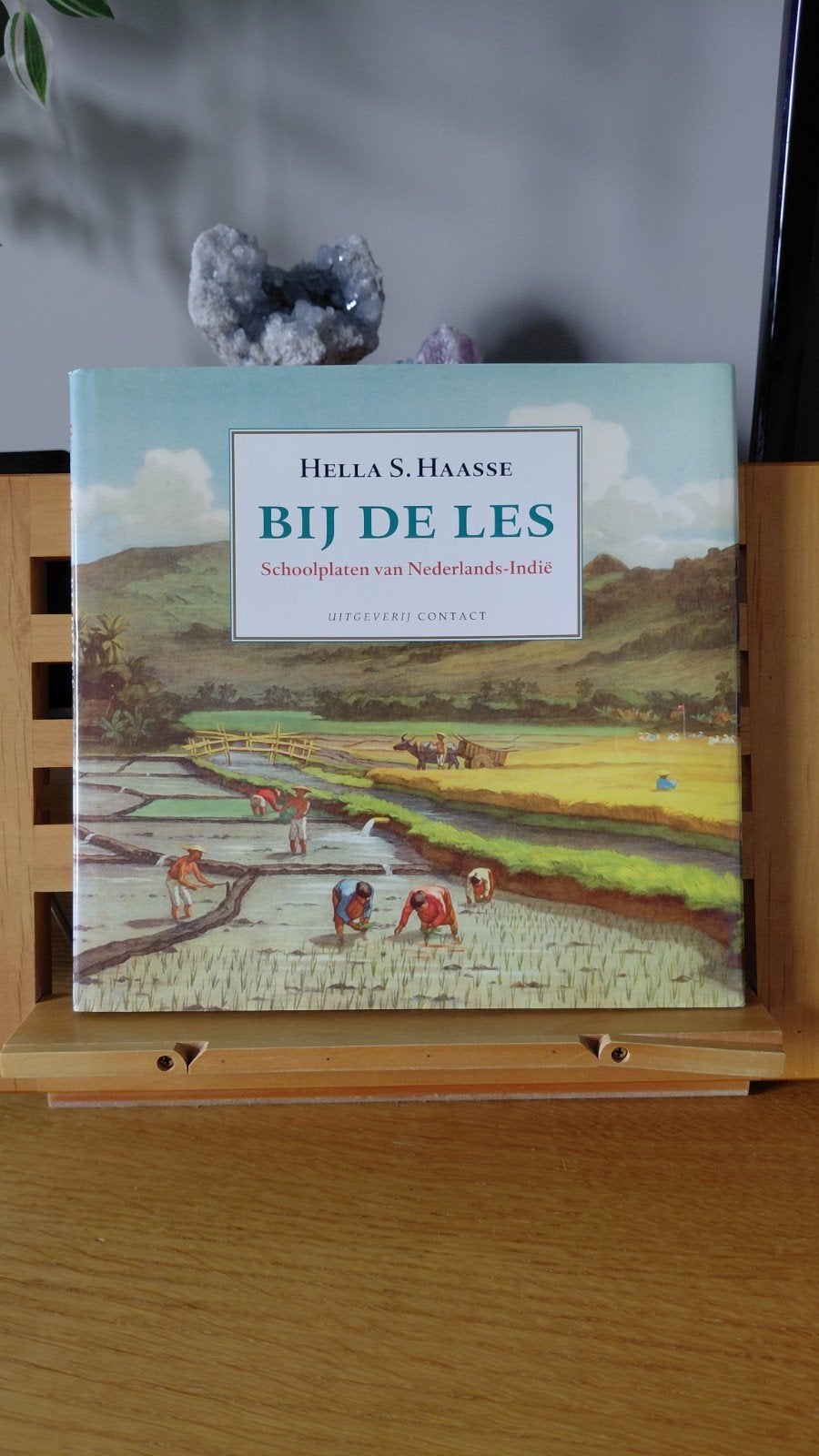 Hella S. Haasse - Bij de Les Schoolplaten van Nederlands-Ind, Boeken, Ophalen of Verzenden, 20e eeuw of later, Zo goed als nieuw