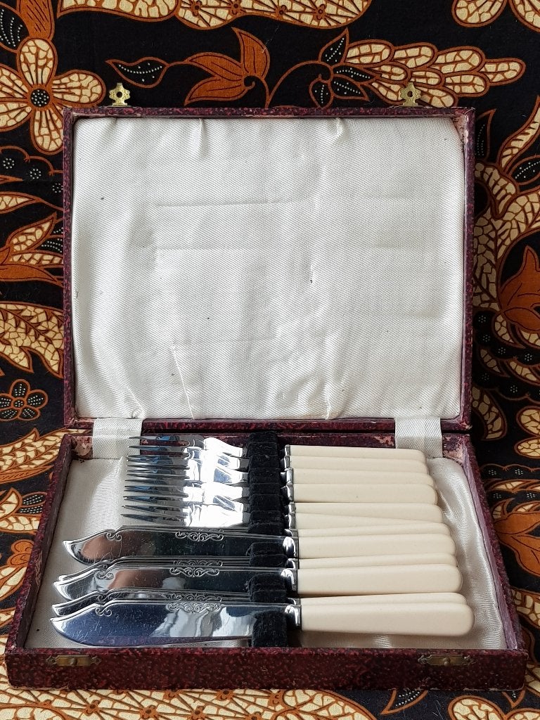 Mooi vintage twaalfdelig visbestek uit Engeland in een etui.