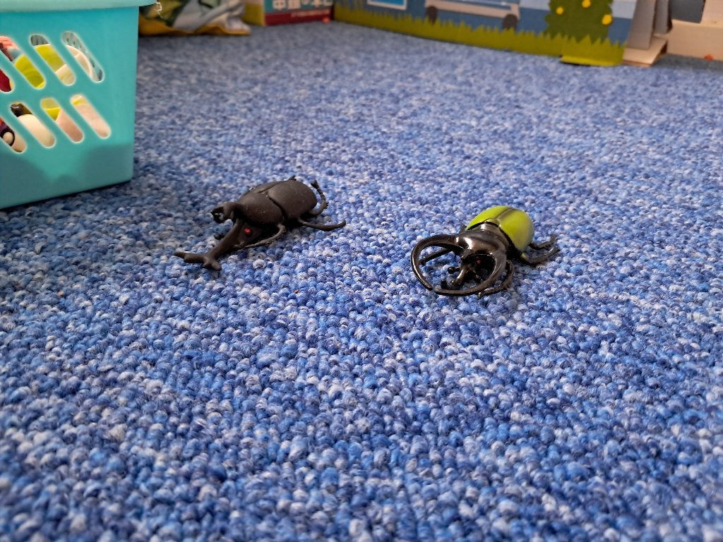 Japanse Herculeskever en atlaskever poppetje, Verzenden, Gebruikt