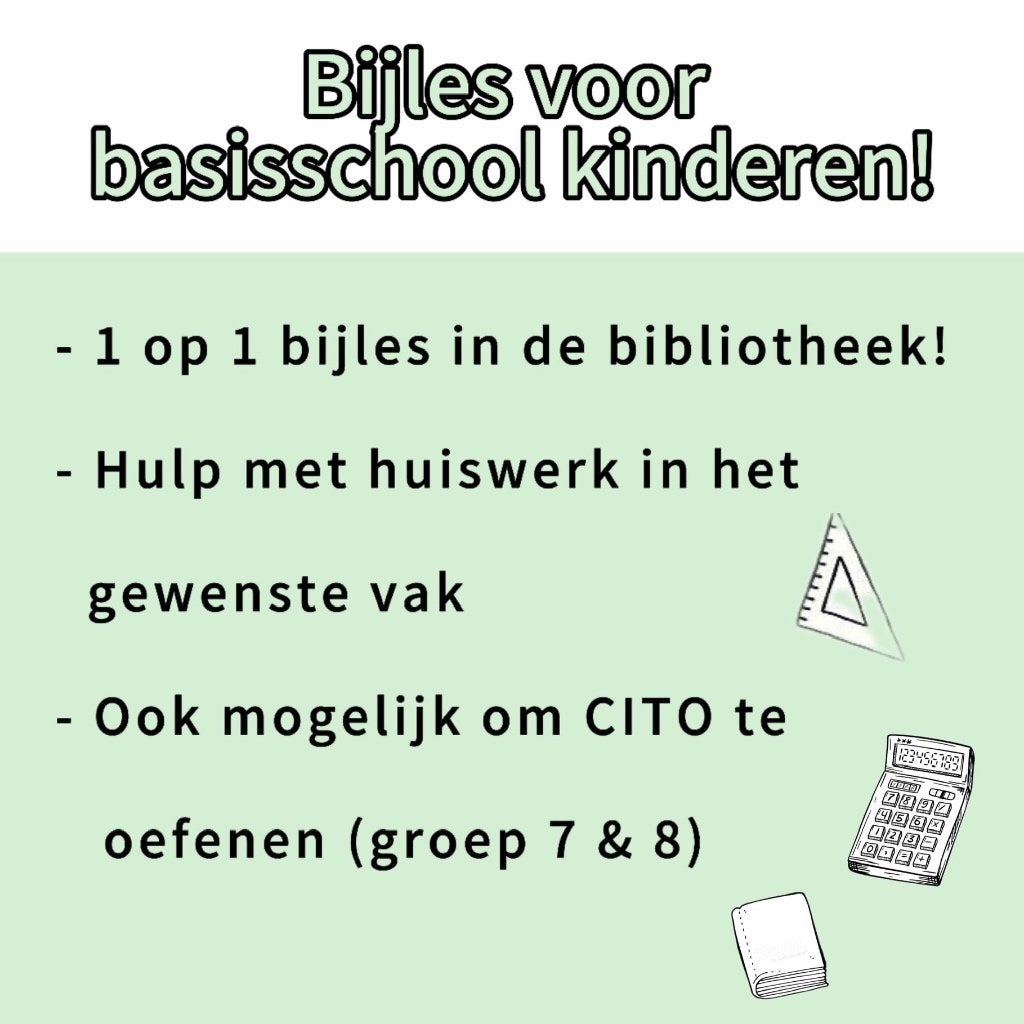 Bijles voor basisschool leerlingen, Privéles, Bijles