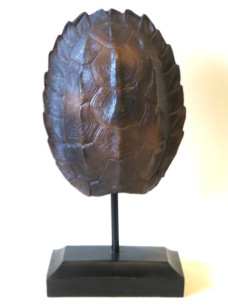 Schildpad schild model kunststof NIET ECHT decoratie, Ophalen of Verzenden, Zo goed als nieuw, Overige soorten, Overige typen