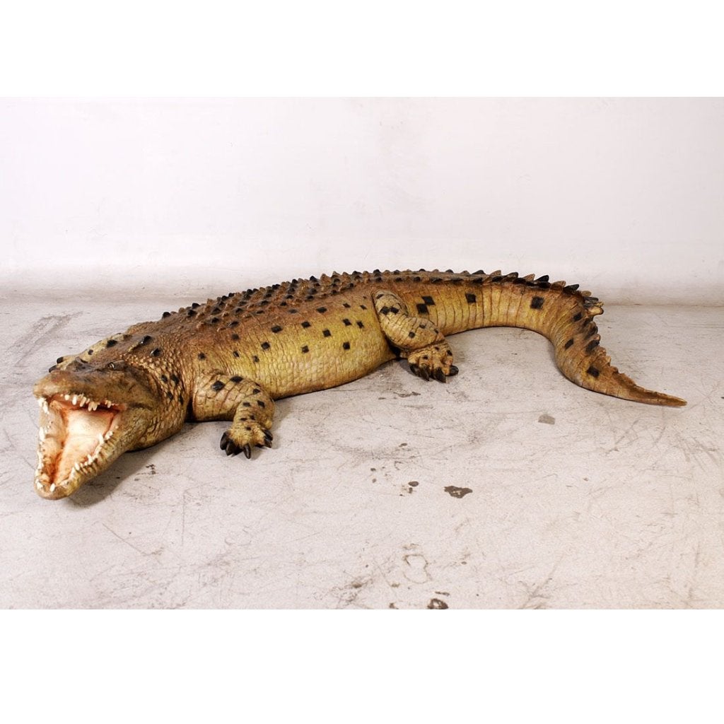 Crocodile mouth open 12 ft – Krokodil beeld Lengte 343 cm