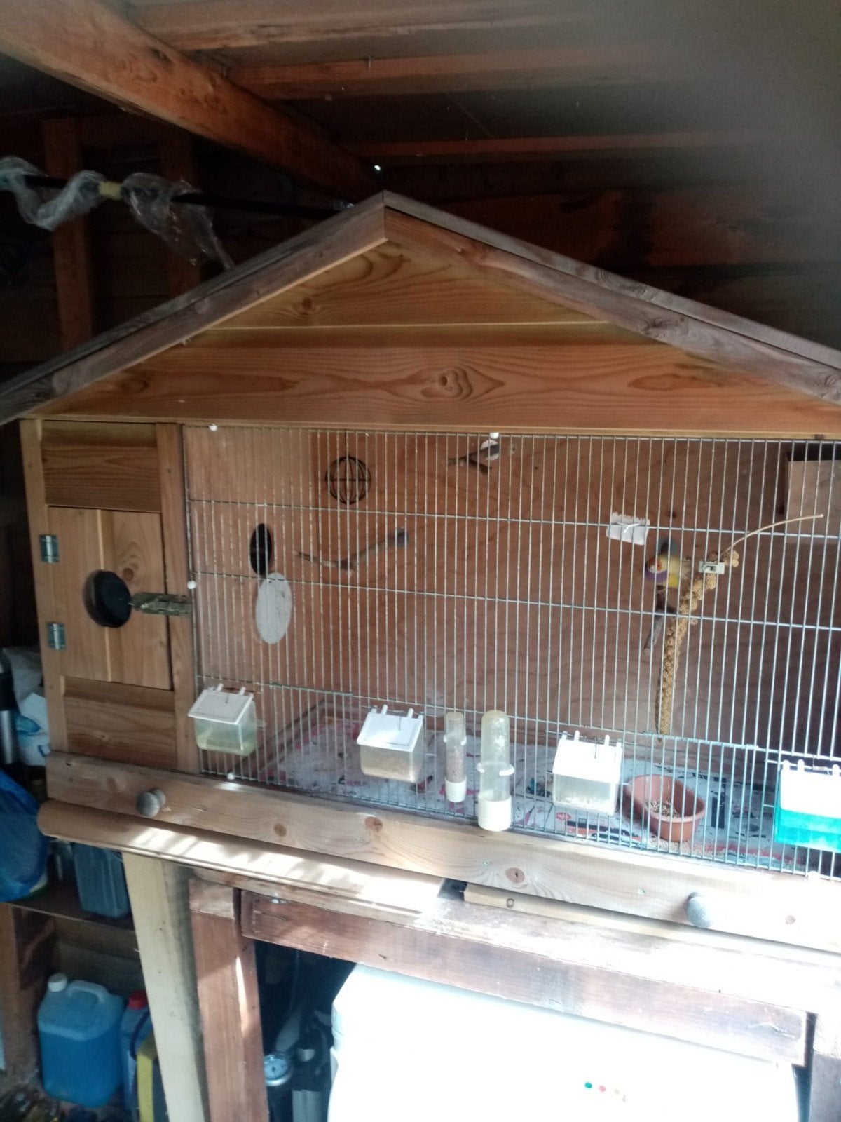 gratis op te halen in Haarlem, Dieren en Toebehoren, Vogels | Hokken en Kooien, Ophalen, Gebruikt, Hout, Vogelkooi