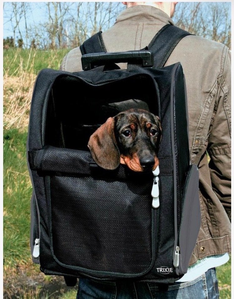 Tas/trolley Trixie voor vervoer kleine hond of kat - nieuw, Ophalen of Verzenden, Nieuw