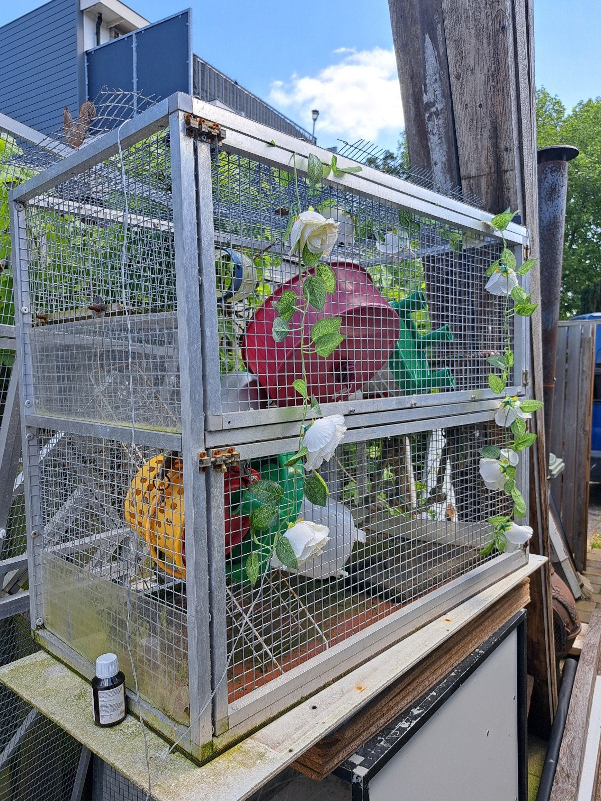 Knaagdieren verblijf met boven ennonder opening, Ophalen, Kooi, Minder dan 60 cm