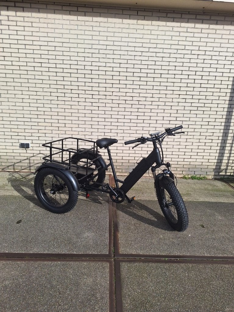 Balans Fiets Cargo Bike drie wieler Elektrisch, Verstelbare zitting, Nieuw, Schijfrem, Ophalen