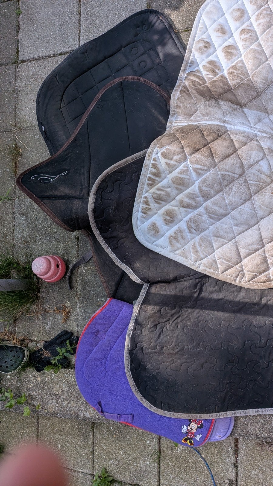 6 zadeldekjes, Full (L), Ophalen, Gebruikt, Dressuurdekje