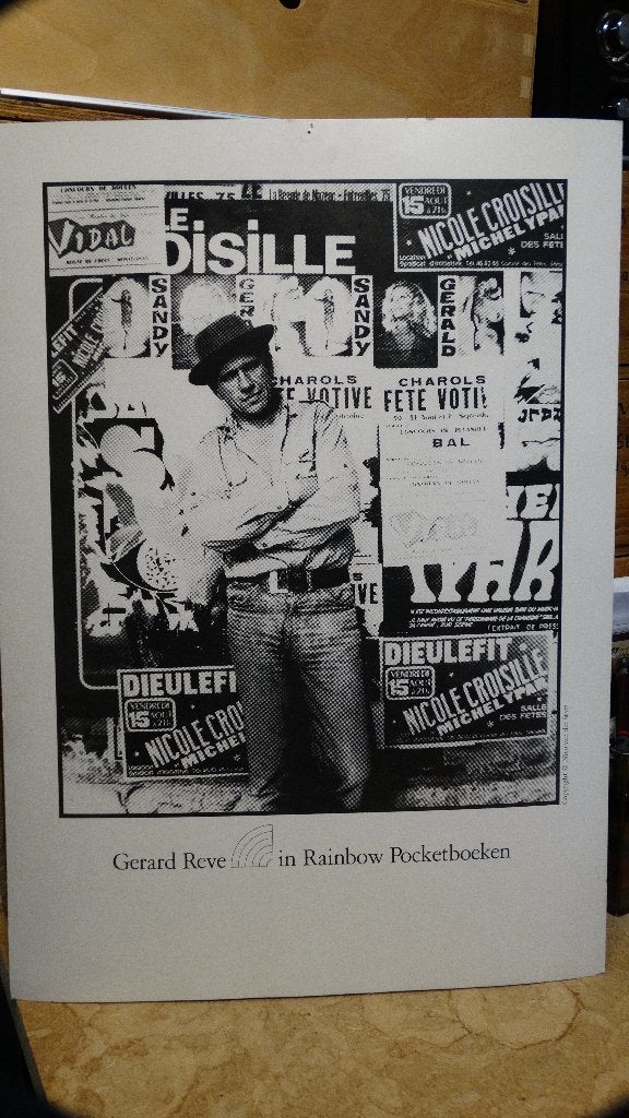 Gerard Reve, Boeken, Ophalen of Verzenden, Gelezen, Gerard Reve