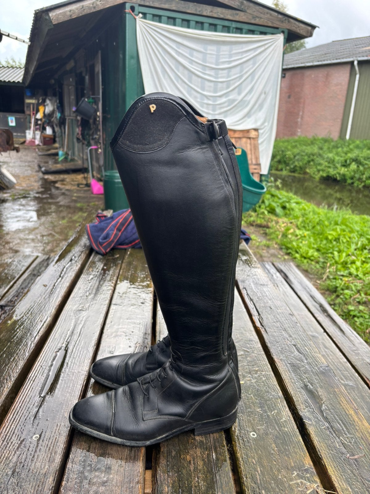 Petrie rijlaarzen te koop, Dieren en Toebehoren, Ophalen of Verzenden, Zo goed als nieuw, Dressuur, Schoeisel
